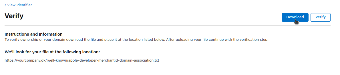 Verify Domain Step 3